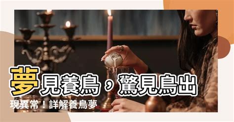 夢到家裡很多鳥|夢見很多鳥，夢到很多鳥是什麽意思？